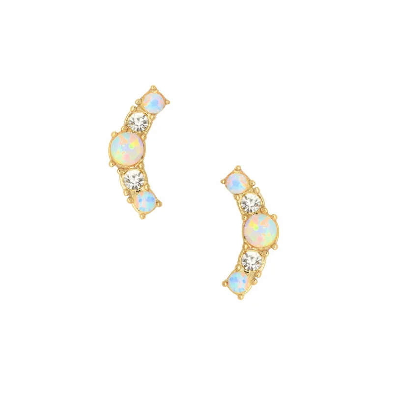 Onyx earrings-Renee Opal Stud Earrings