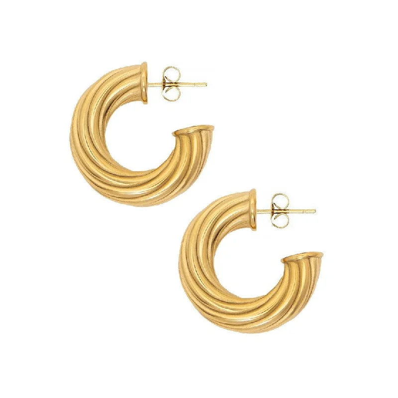 Smooth drop earrings-Nina Hoop Earrings