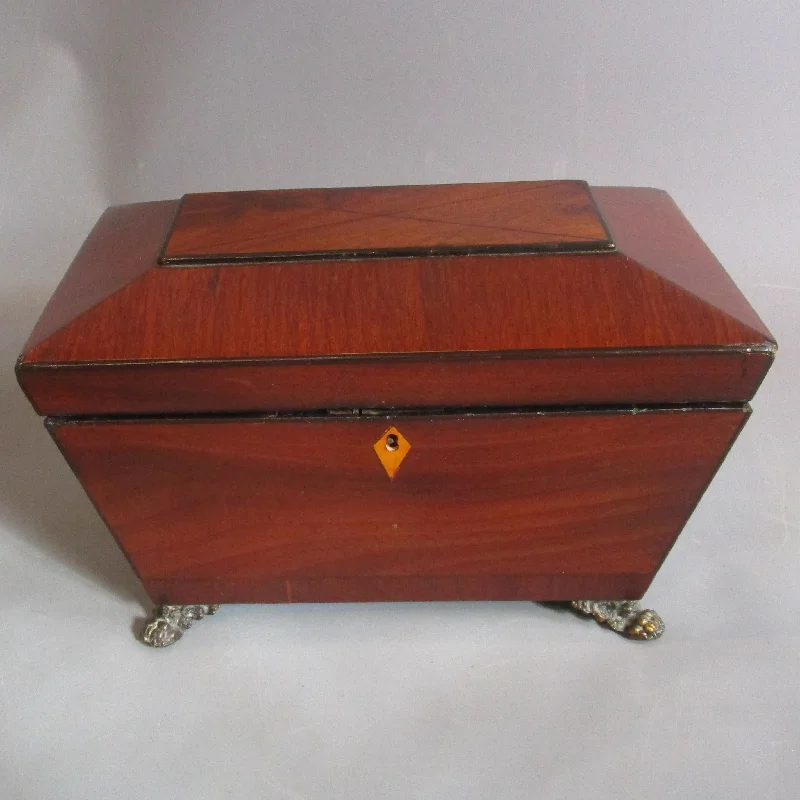 Flat knot rings-Sarcophagus Mahogany Tea Caddy On Lion Paw Feet With Lion Ring Pull Handles Antique Regency c1815